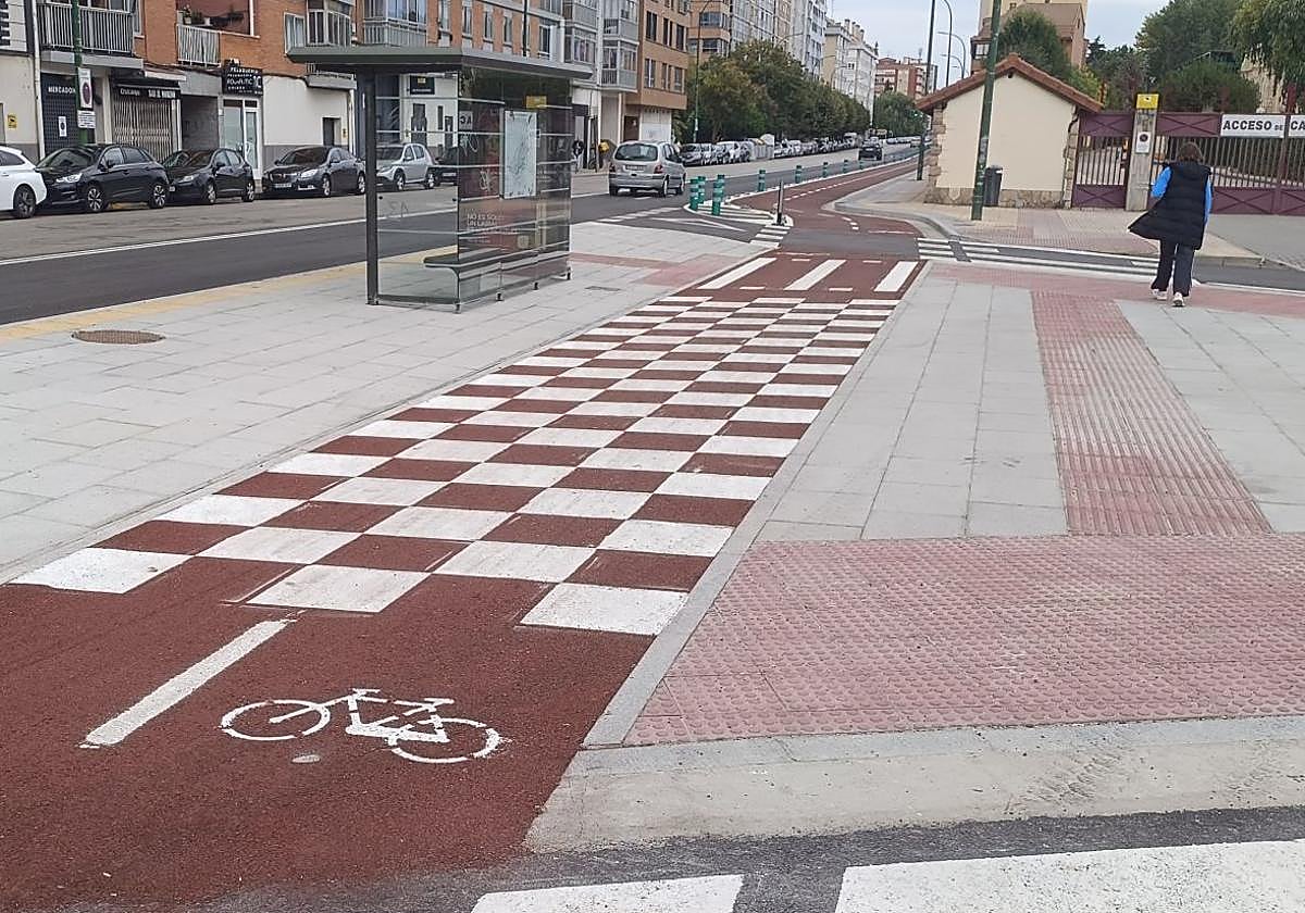 La construcción del carril bici ha modificado la estructura de la avenida.
