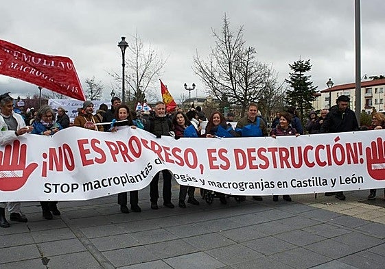 Manifestación contra las macrogranjas y las plantas de biogás en Valladolid en marzo de 2025.
