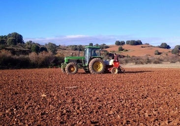 El primer encuentro de variedades agrícolas antiguas llega a un pueblo de Burgos para recuperar cultivos tradicionales