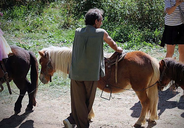 Algunas de las actividades dentro de la Semana Cidiana.