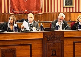 Un momento de la comisión de este miércoles.