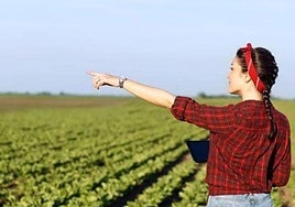 Burgos celebra en octubre el Mes de la Mujer Rural