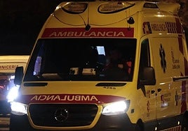 Los servicios sanitarios no pudieron hacer nada para reanimar al varón,