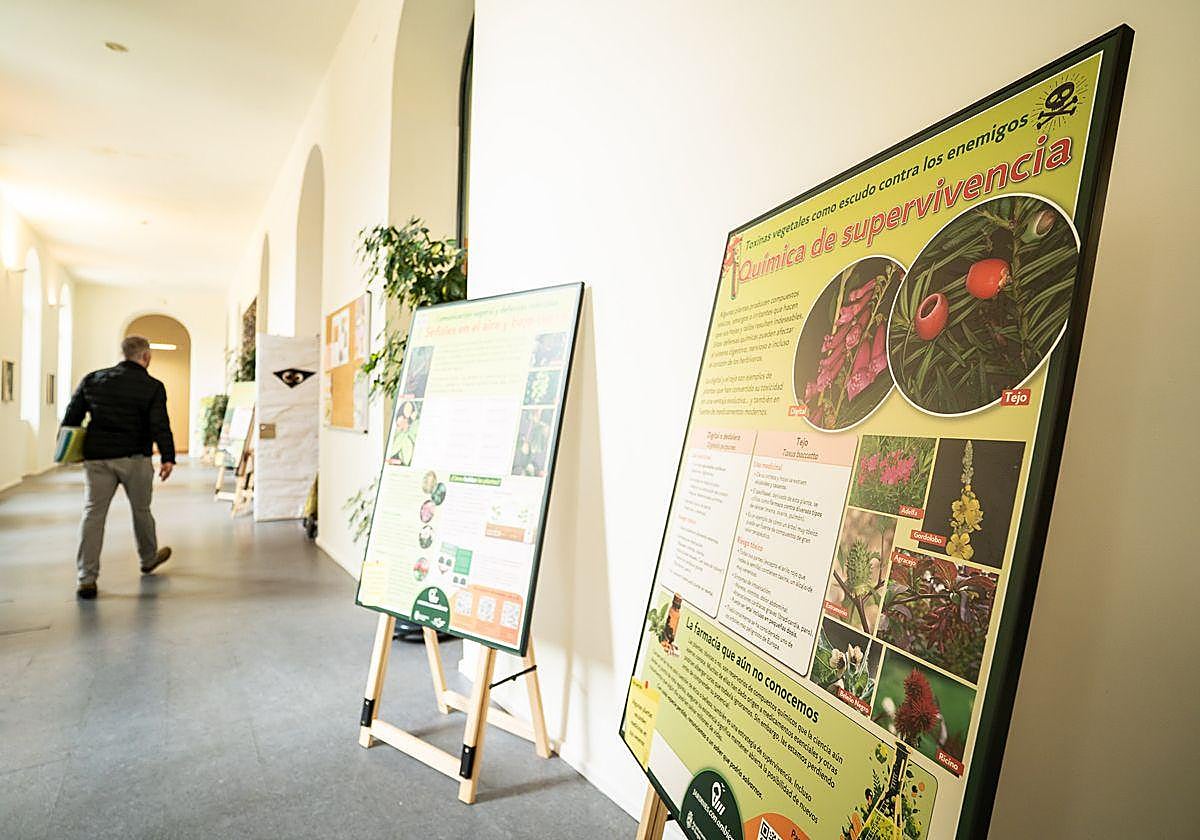 La exposición ambiental 'Sobrevivir en los jardines. Inteligencia vegetal'.