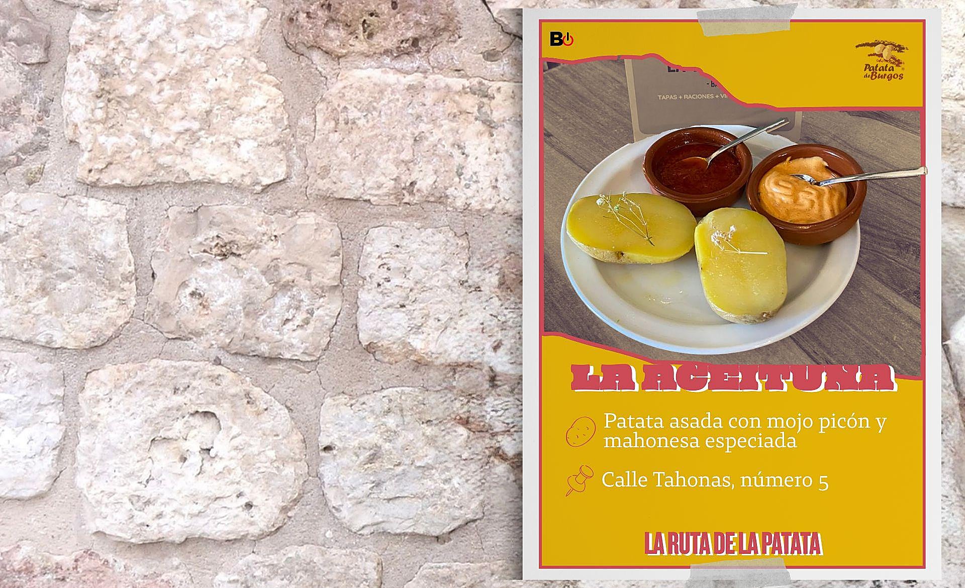 Scroll Story imagen 7