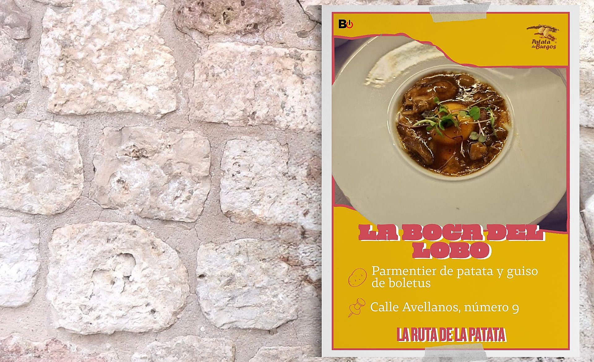 Scroll Story imagen 8