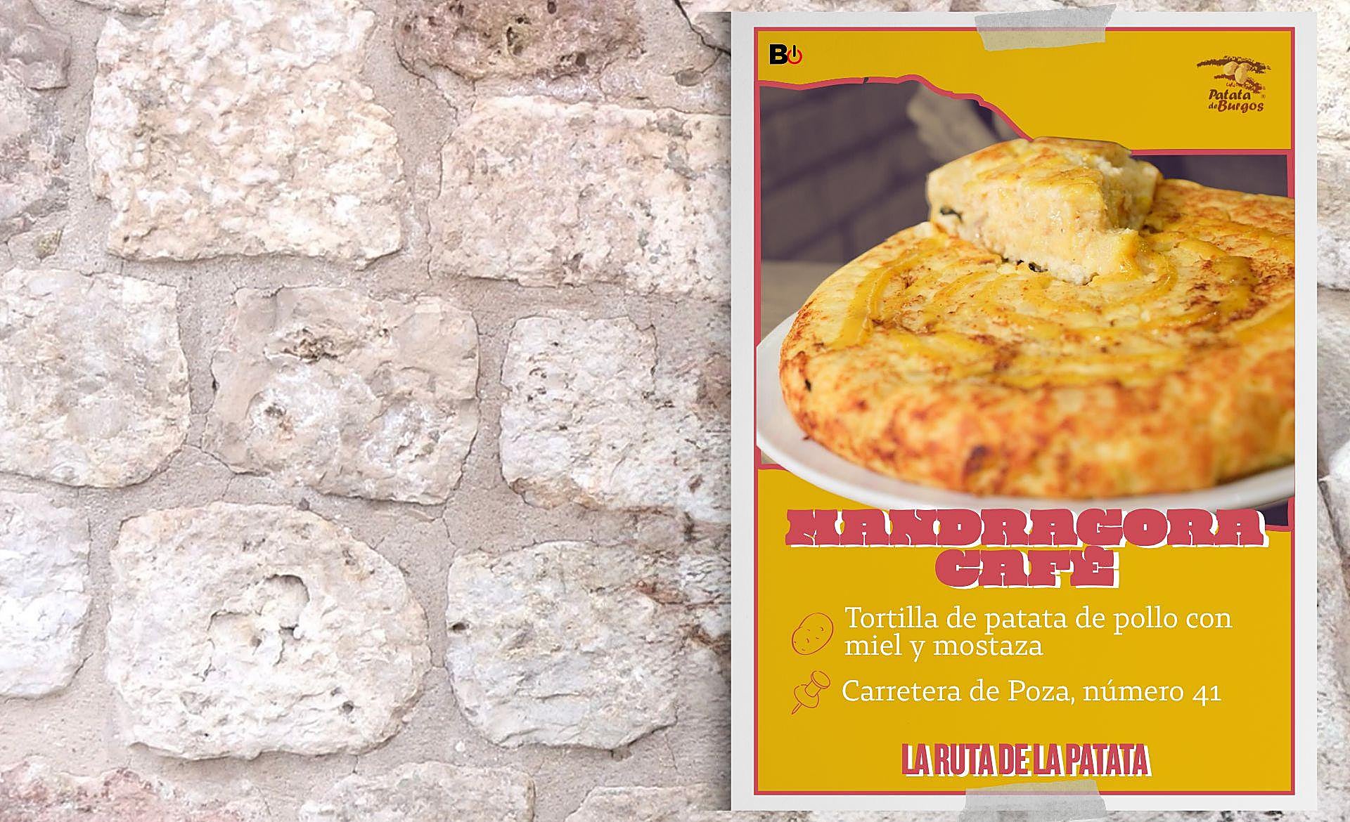 Scroll Story imagen 15