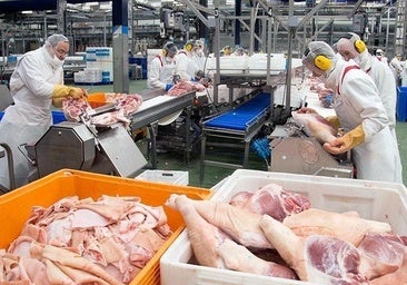 Campofrío vende el 75% del matadero a Vall Companys