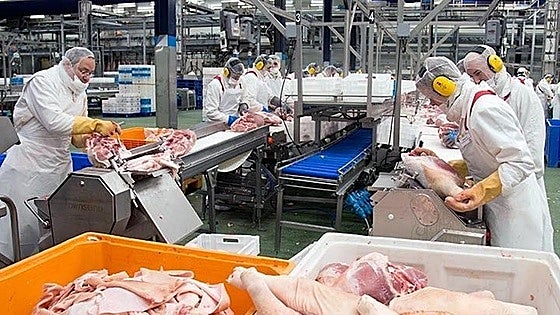 Campofrío vende el 75% del matadero a Vall Companys