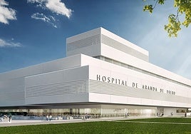 Maqueta del nuevo hospital comarcal de Aranda de Duero.