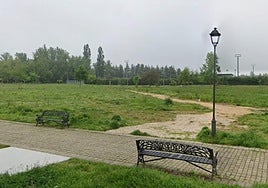 Camino que se quiere adecuar en Villarcayo.