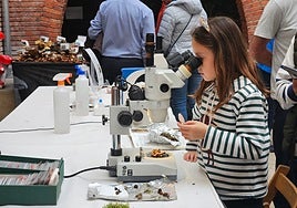 La muestra incluyó más de doscientas especies identificadas