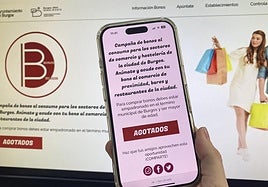 Pagina web de los bonos al consumo de Burgos