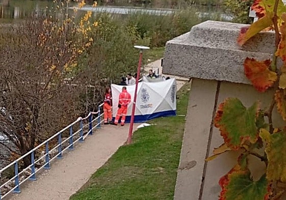 La Policía Nacional y los servicios de emergencias trabajan en el lugar donde ha aparecido el cadáver.