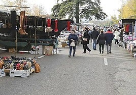 Mercado ambulante instalado en una calle de Burgos.