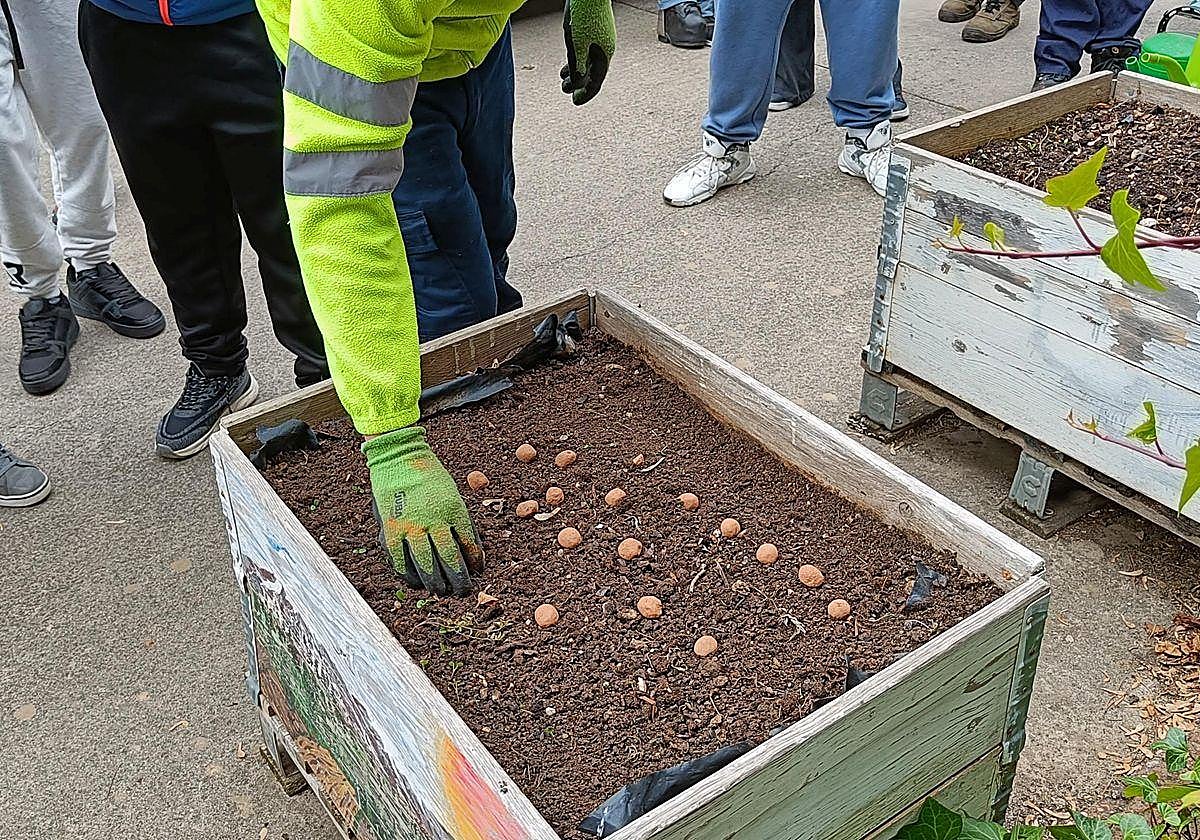 Alumnos de 3º, 4º y 5º de Primaria han elaborado bombas de semillas.