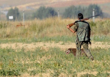 El pueblo de Burgos que acogerá la final del campeonato nacional de caza menor con perro