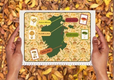 Cinco rincones de Burgos que invitan a una escapada micológica inolvidable