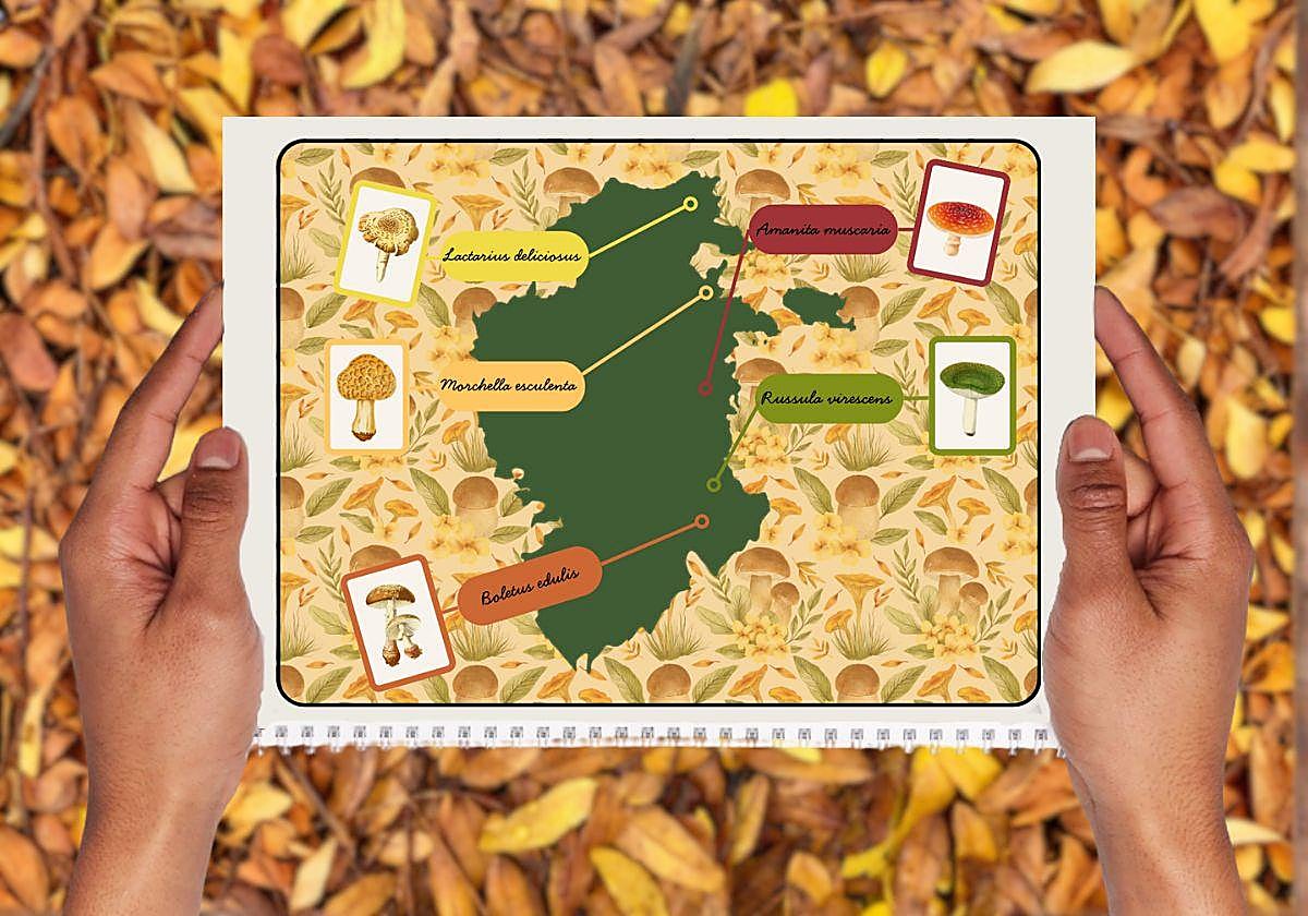 Imagen creada para representar las rutas micológicas
