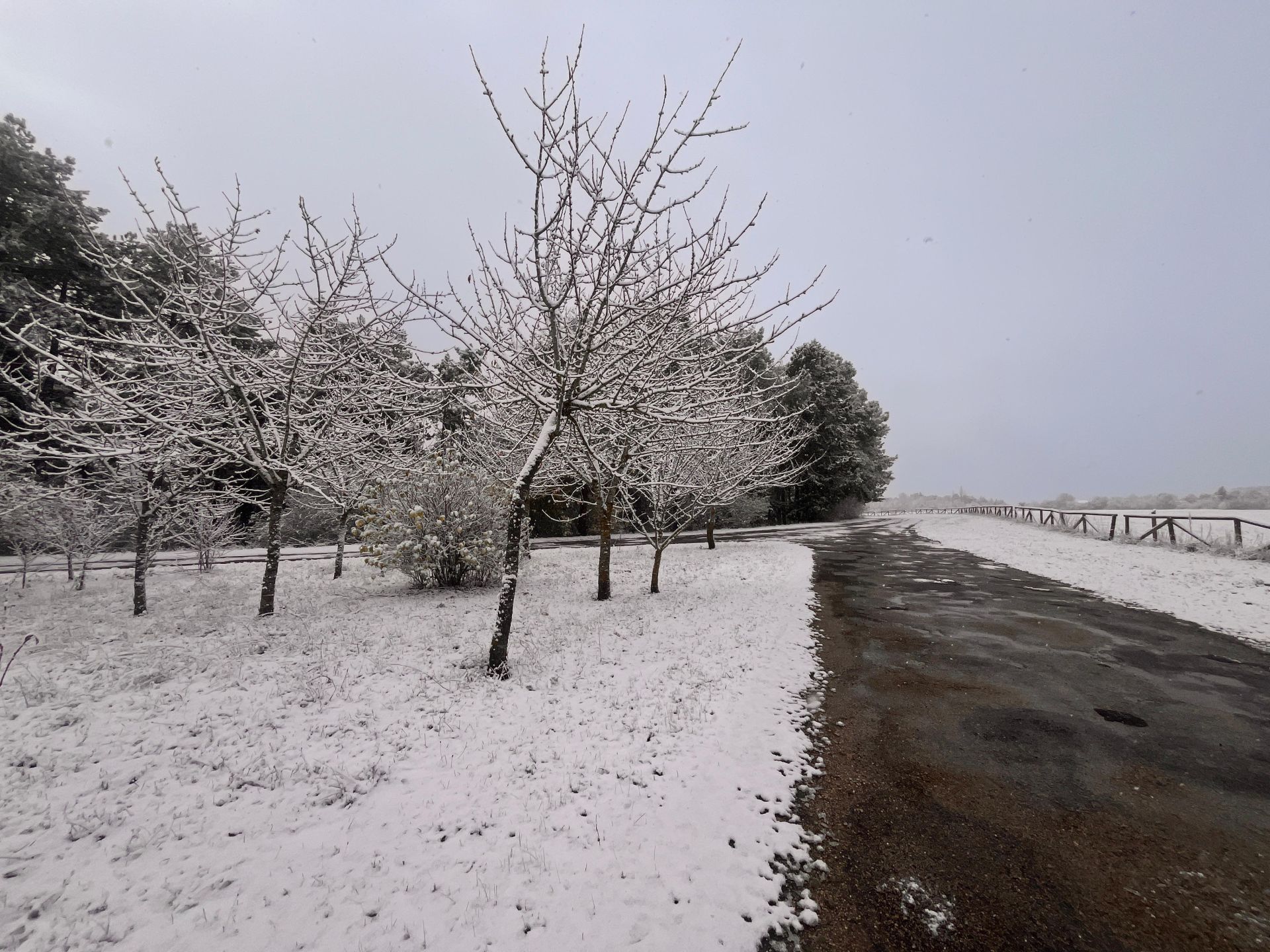 Las imágenes de la nieve que ha caído en Burgos
