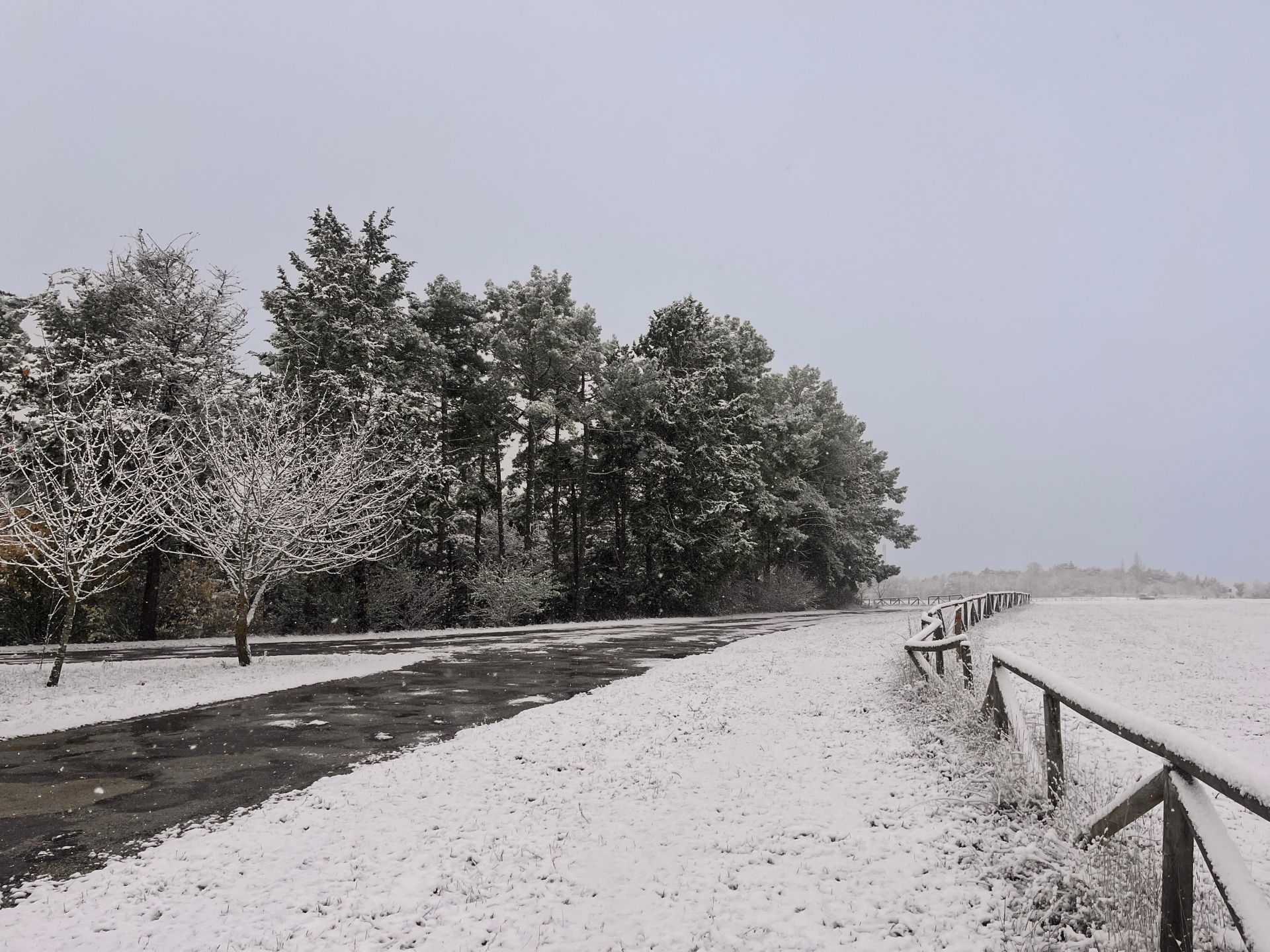 Las imágenes de la nieve que ha caído en Burgos