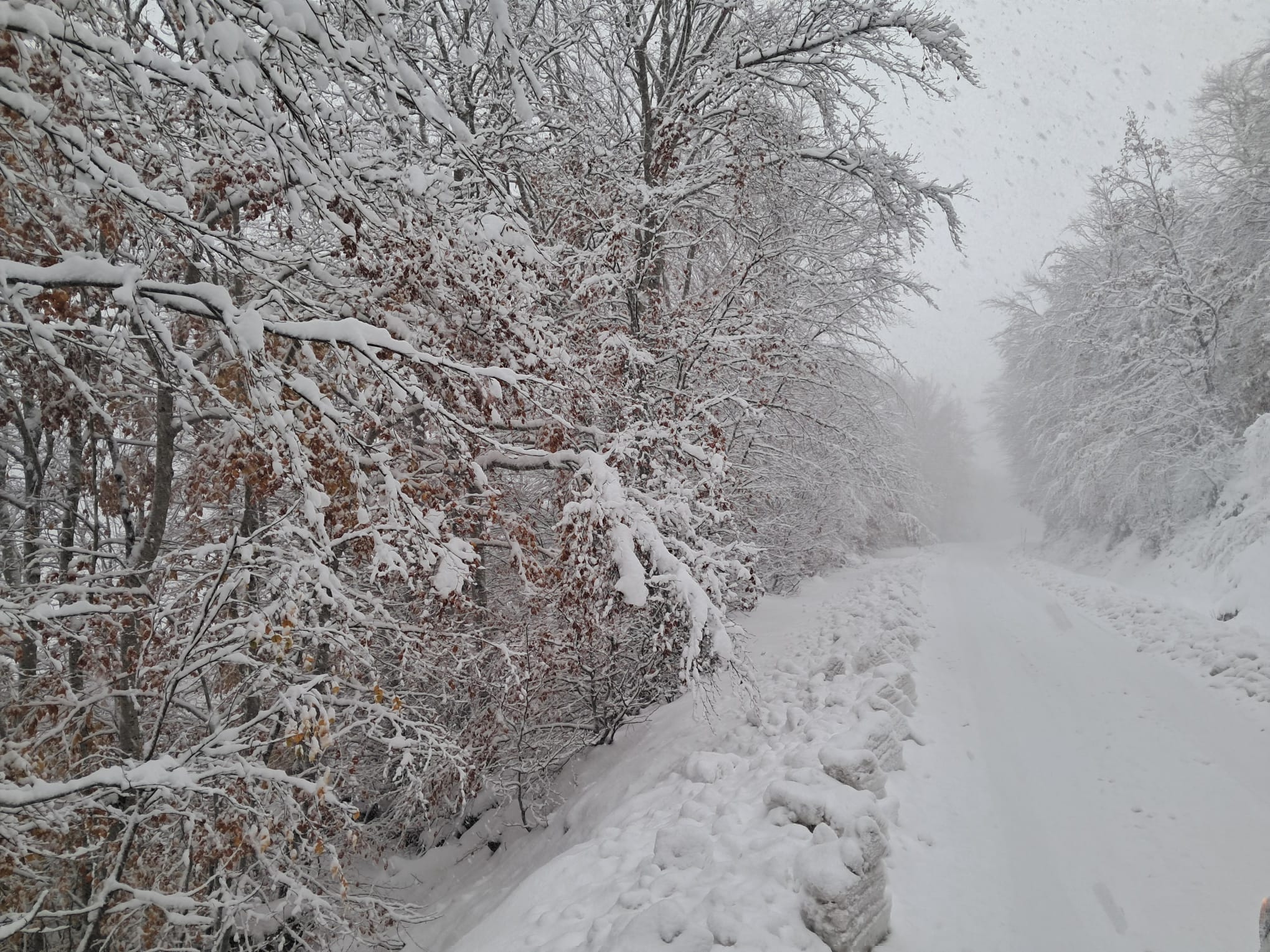 Las imágenes de la nieve que ha caído en Burgos