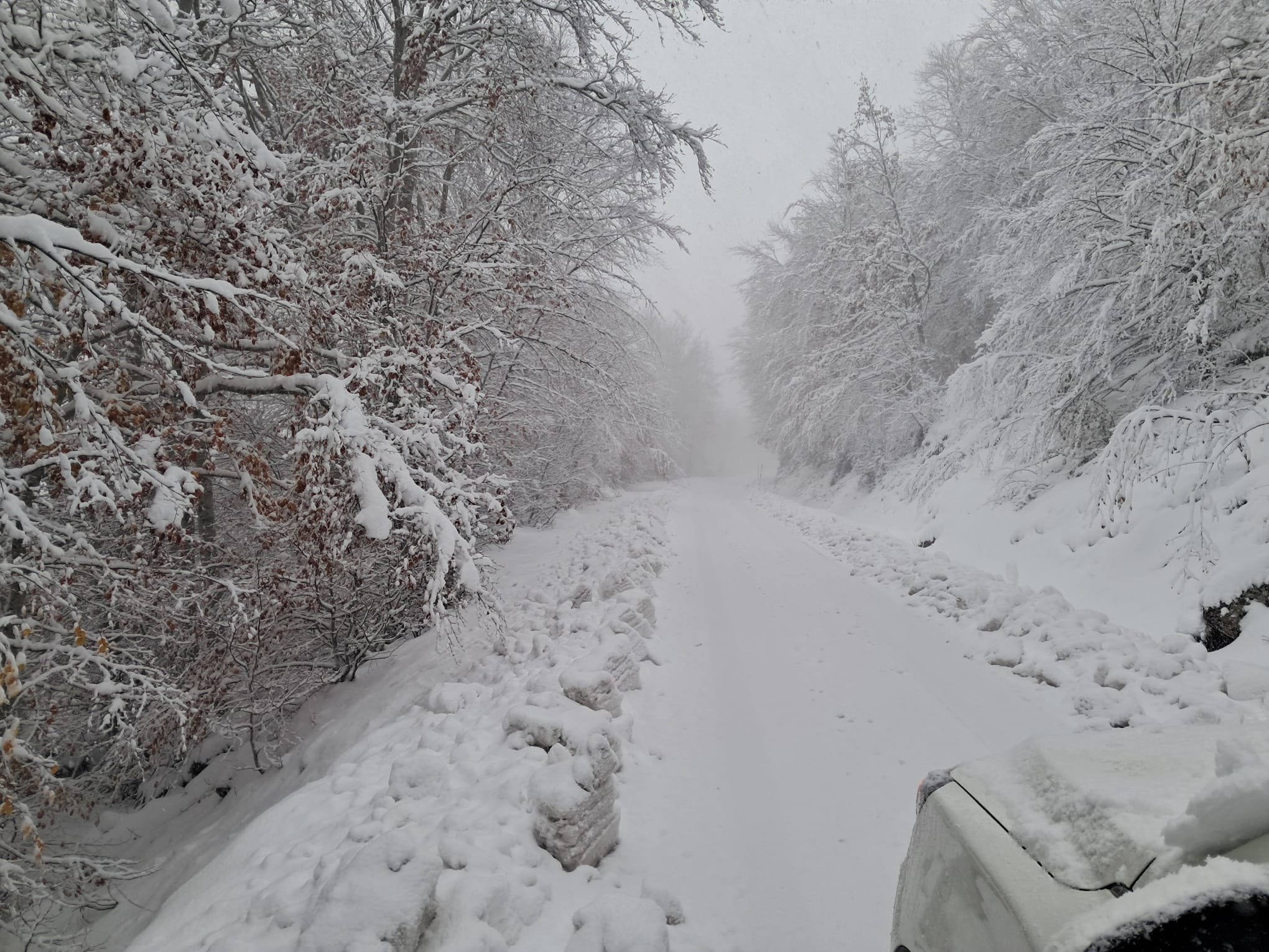 Las imágenes de la nieve que ha caído en Burgos