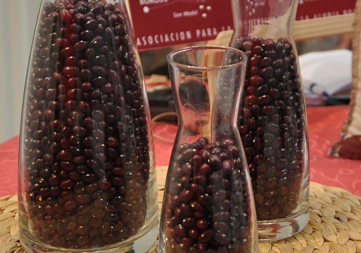 Imagen principal - Alubias rojas, morcilla y el jurado catando una de las pucheras en una edición pasada. 