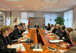 Imagen de archivo de una Reunión de la Comisión Territorial contra la Violencia de Género.