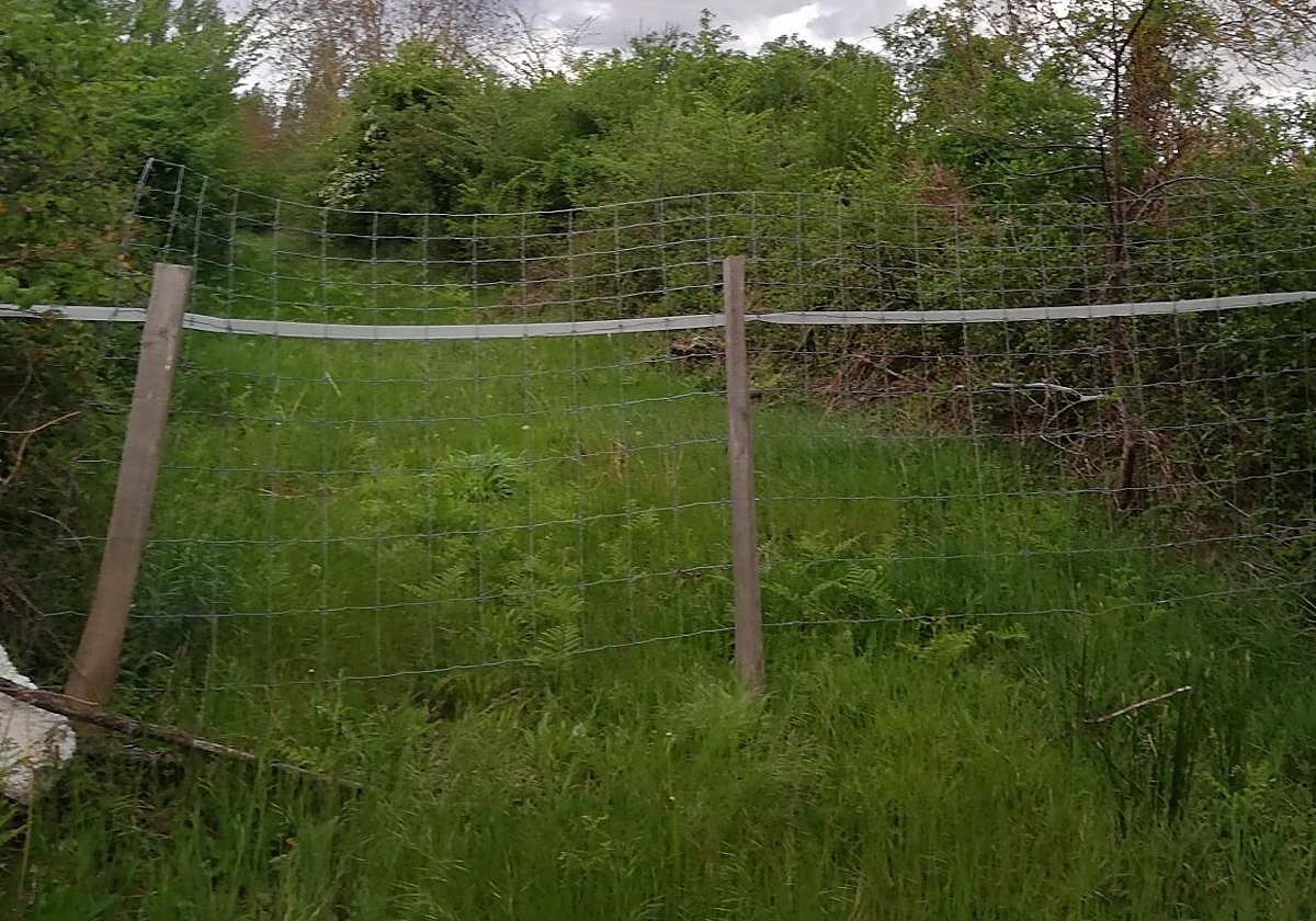 Imagen de uno de los caminos con una puerta que corta el paso.