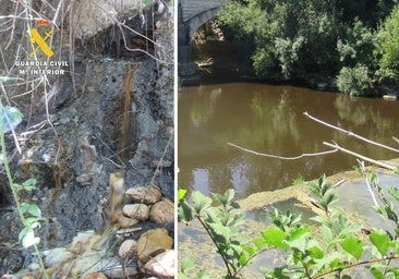 A disposición judicial los responsables de una fábrica por un vertido tóxico que mató decenas de peces en Miranda de Ebro