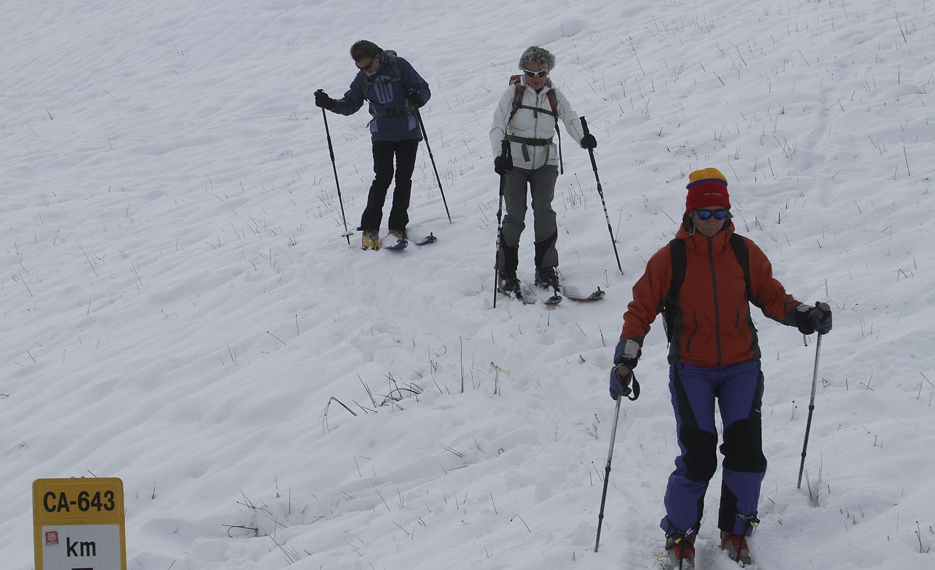 Scroll Story imagen 9