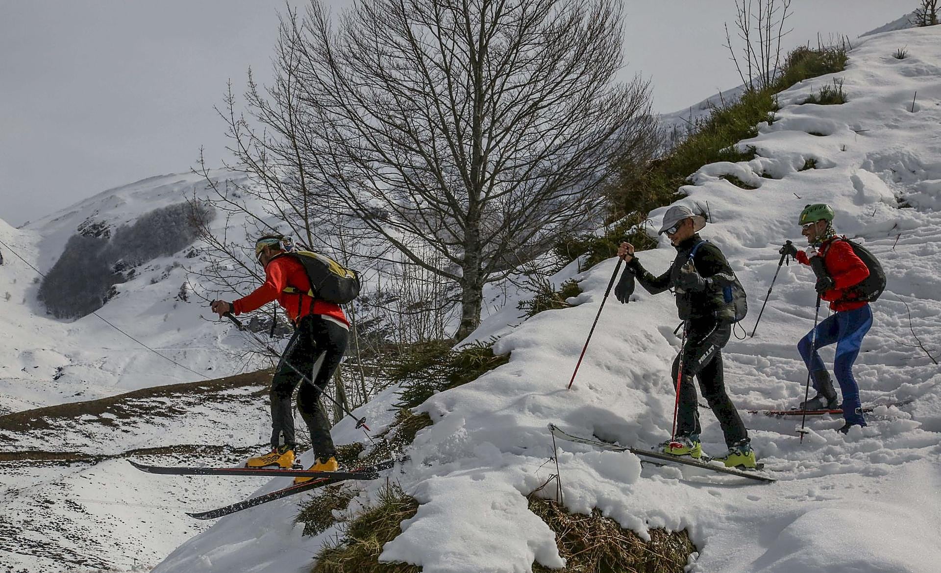 Scroll Story imagen 6