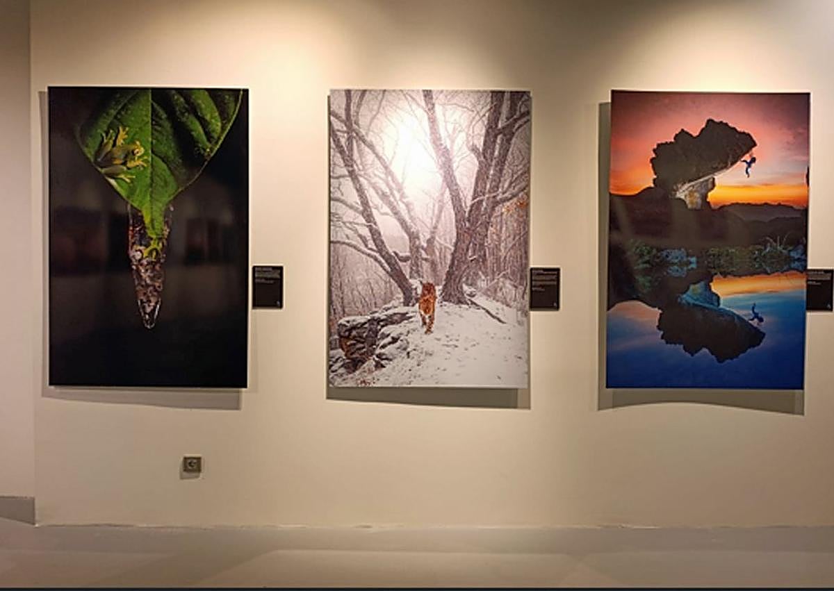 Imagen secundaria 1 - La exposición fotográfica que convierte a Burgos en un escaparate mundial de la naturaleza