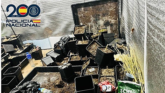 Tres detenidos en Burgos en dos operaciones antidroga con incautación de cocaína y marihuana