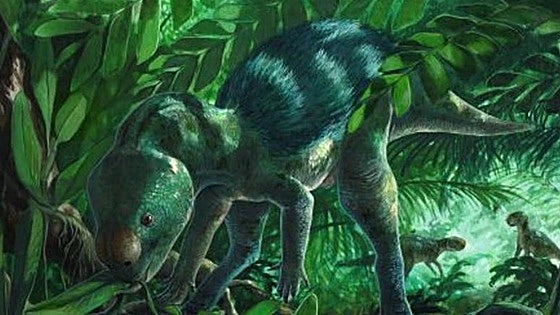 Burgos revoluciona la paleontología al presentar el dinosaurio ornitópodo más pequeño del mundo