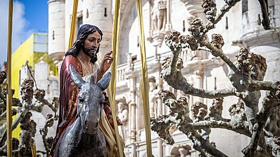 Una marea de palmas para acompañar la procesión de la Borriquilla en Burgos