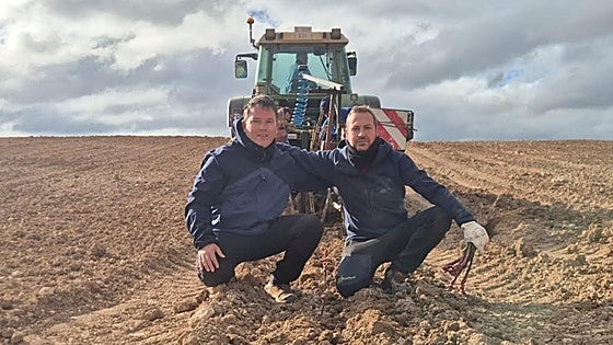 La variedad de uva al alza que triunfa en Ribera del Duero: ¿Cómo se planta?