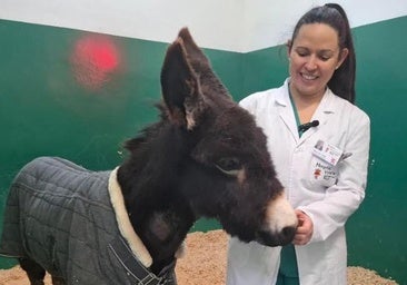 Pablete en León recuperándose tras haber sido operado.