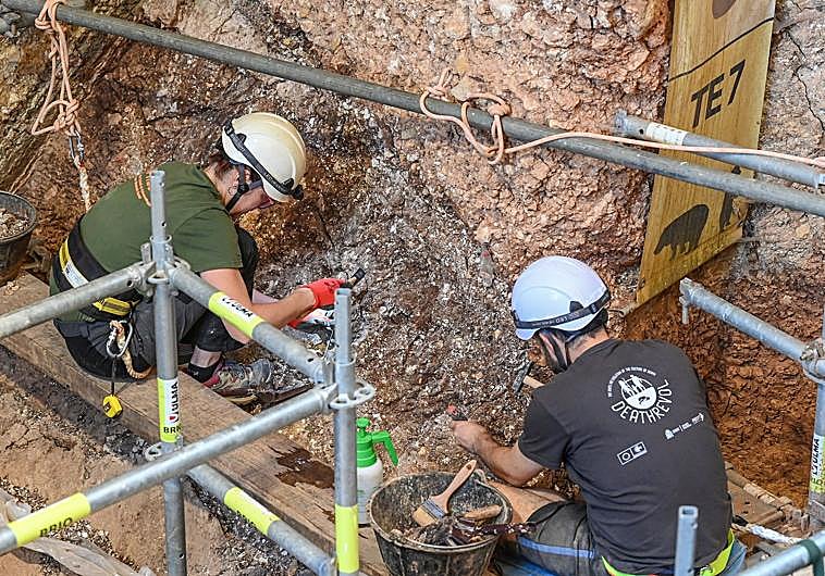 Imagen principal - Yacimiento Sima del Elefante en Atapuerca. 
