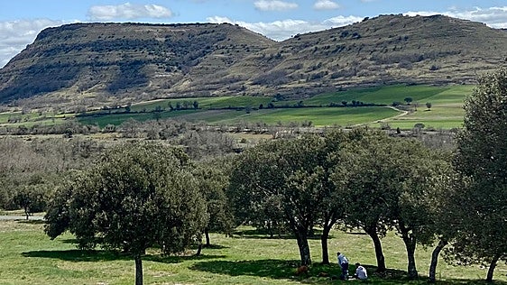 El programa cinematográfico 'Grandes árboles, grandes historias' afronta su última semana con actividades en cuatro pueblos de Burgos