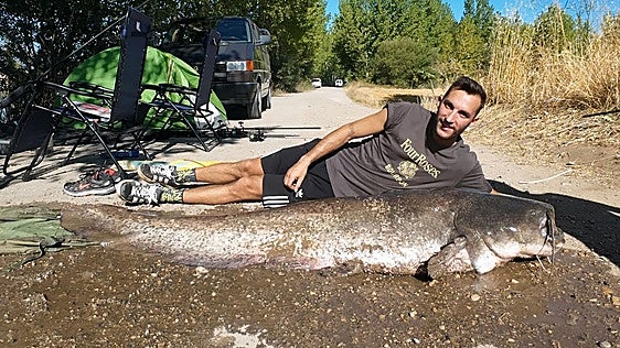Un grupo de amigos pesca un siluro de más de dos metros en Burgos: «Costó muchísimo sacarlo, hubo momentos de tensión»