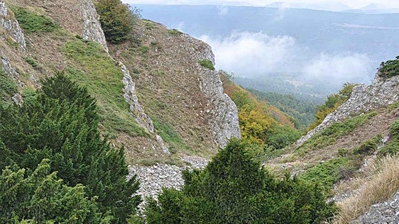 El 23% de la provincia de Burgos son montes de utilidad pública: quién los gestiona y para qué se aprovechan