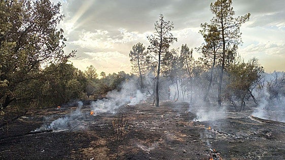 El incendio de Aranda continúa activo y se investigan las causas de su origen