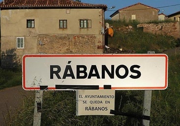 Aprueban el polémico cambio de capital de Rábanos a Alarcia en un pleno con sospechas de irregularidades