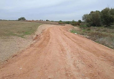 Las 56 hectáreas de fincas rústicas que salen a subasta en un pueblo de Burgos