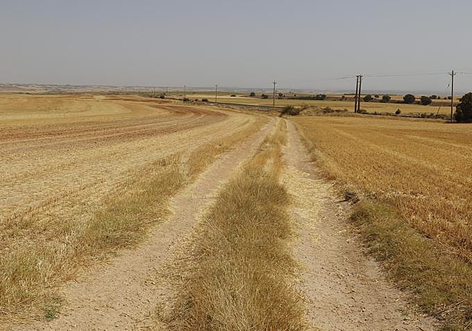 Uno de los accesos a la futura planta de biogás en Quintanilla de la Mata.
