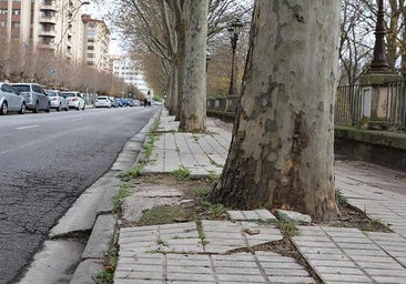 El Ayuntamiento de Burgos avanza en el proyecto de remodelación de la avenida del Arlanzón y sus pasarelas