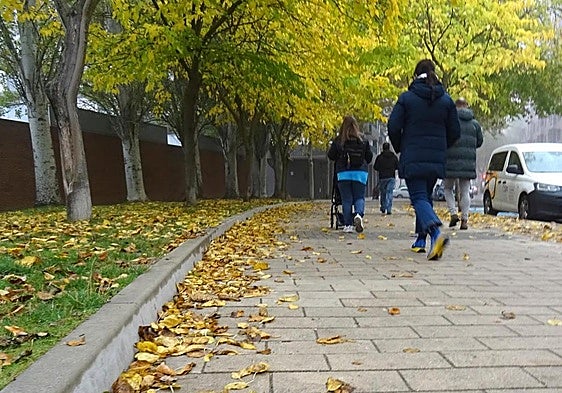 El otoño ha entrado de lleno esta semana.