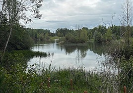 Humedal de Fuentes Blancas.